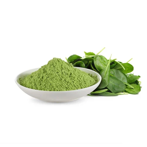 Vegetable Powder - Spinach Powder Export
